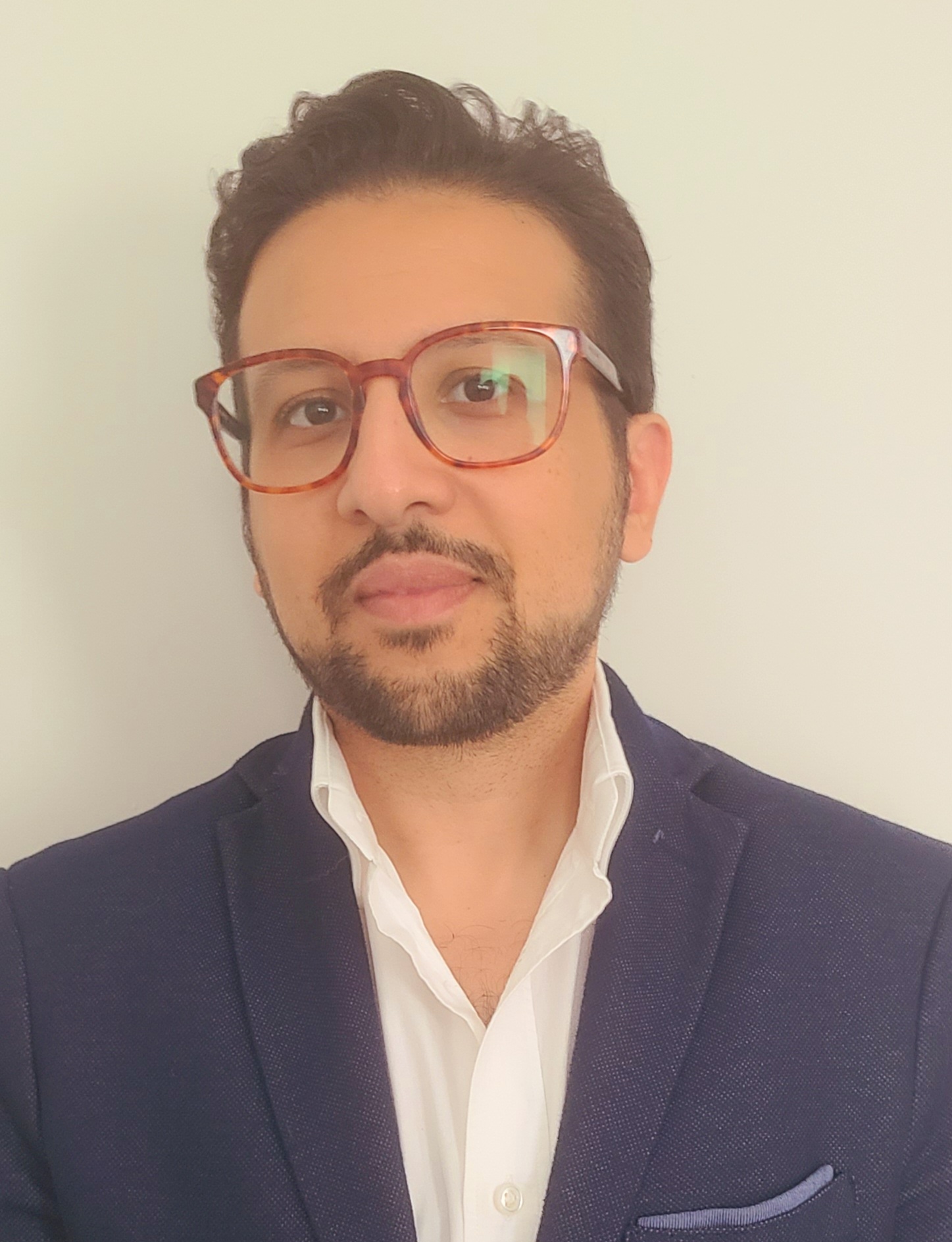 Haitham Shendy